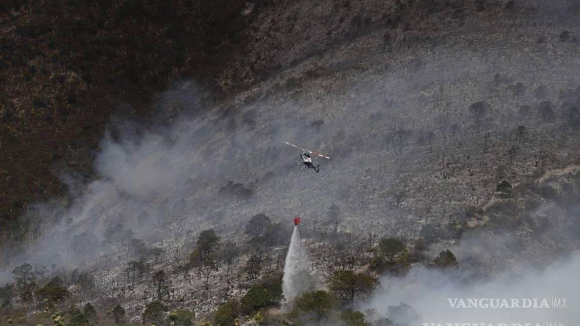 $!En este 2025 se reporta una mayor cantidad de incendios forestales, así como de hectáreas dañadas.