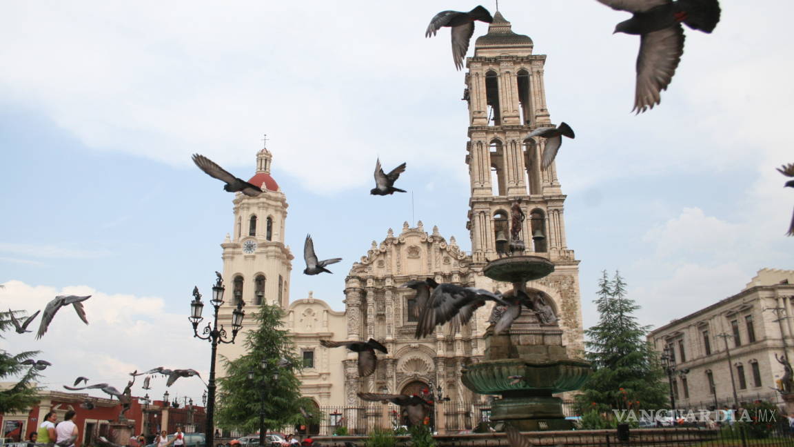 Auyentarán con búhos de plástico a palomas de la Catedral de Saltillo