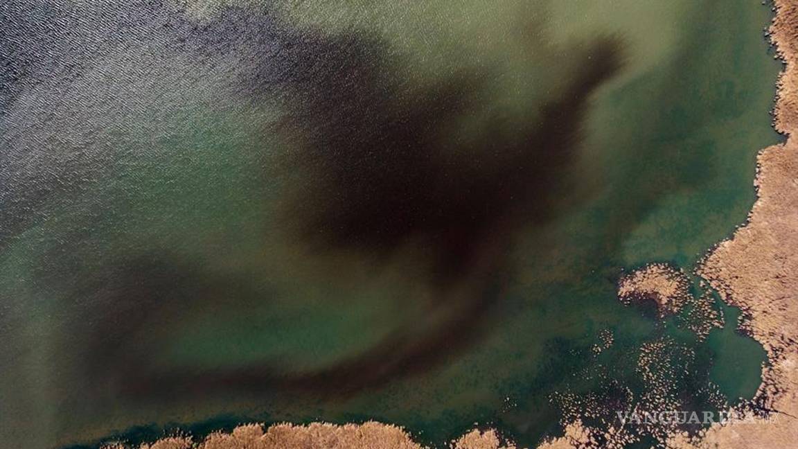 $!Mira cómo festeja el Día de la Tierra sus primeros 50 años con una pandemia global por el COVID-19