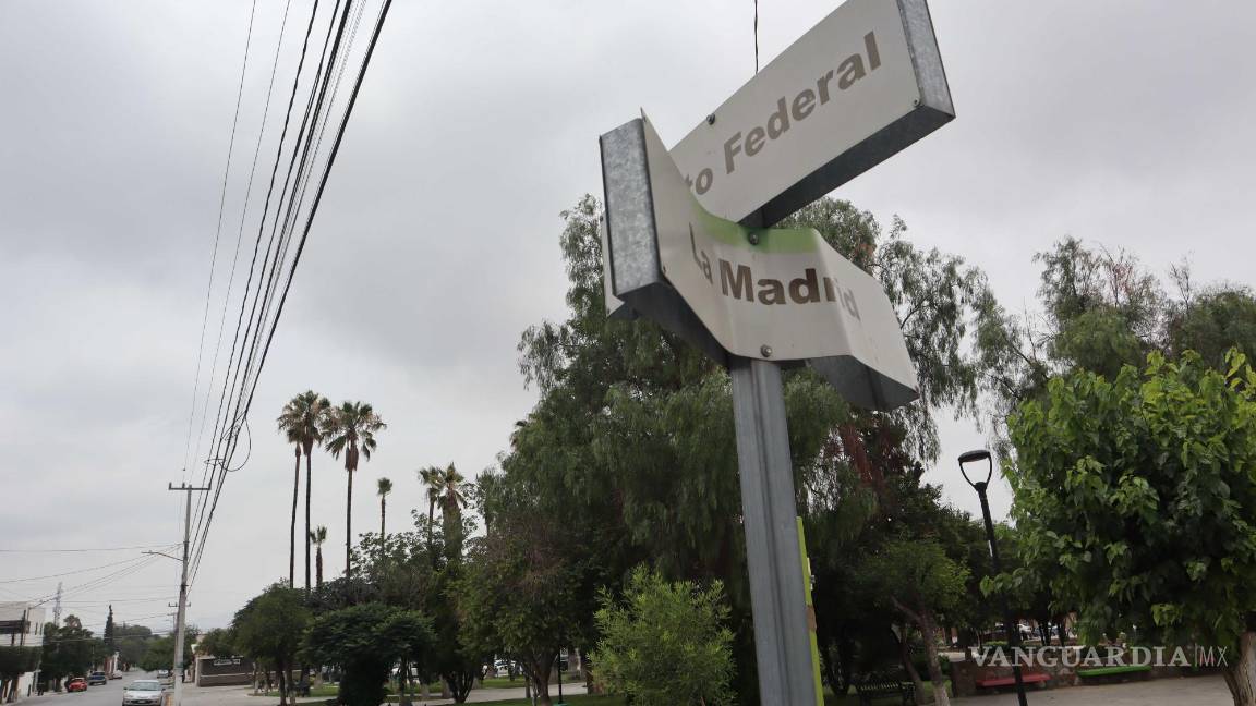 $!En el Municipio de Saltillo se comprometieron a hacer una revisión de los procedimientos de poda y limpia de las áreas públicas.