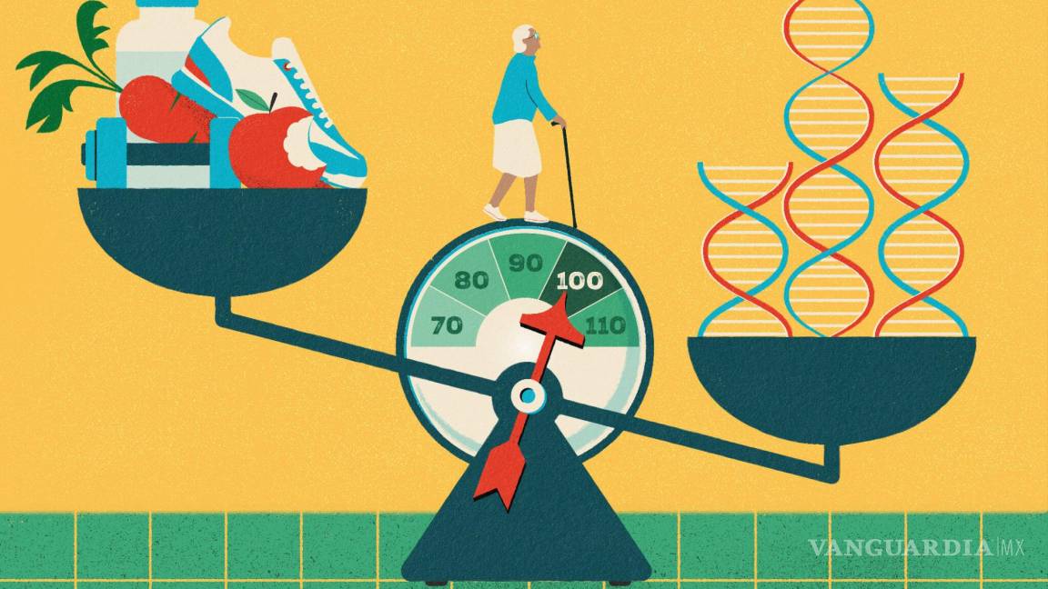 ¿Qué es más importante para la longevidad: los genes o el estilo de vida?