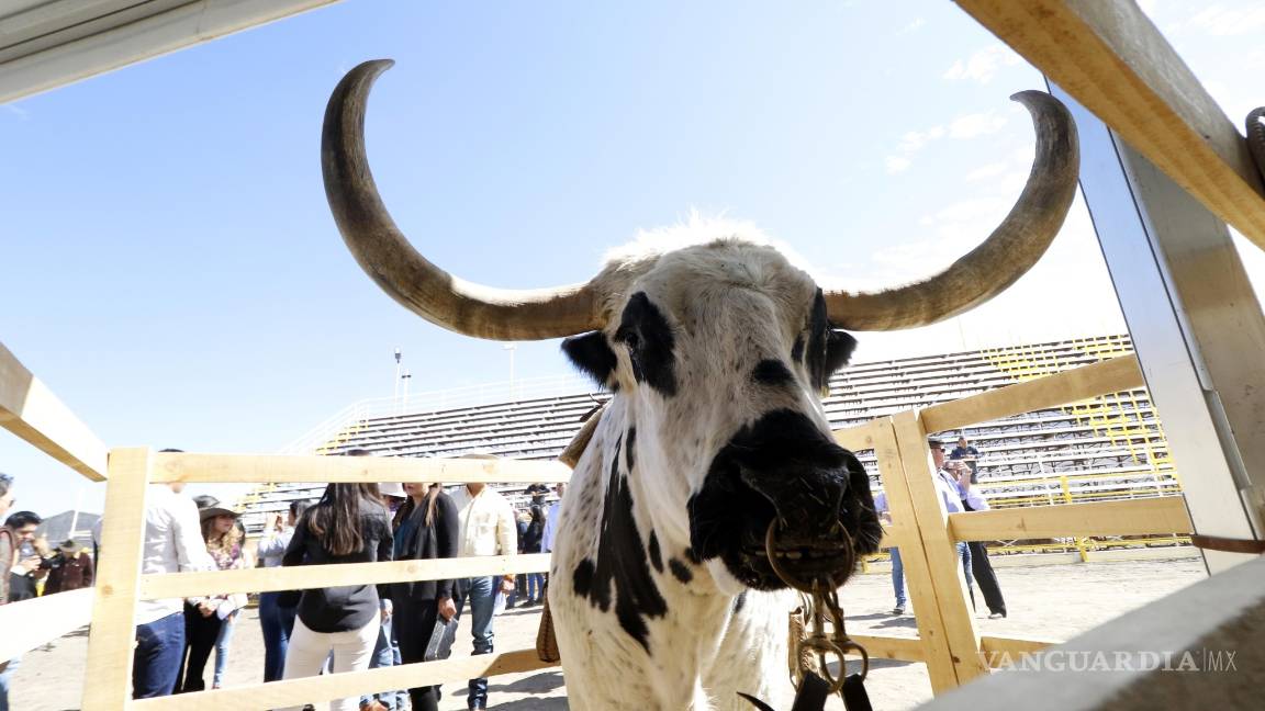 $!Expogan &amp; Fest 2020: Saltillo volverá a ser la Ciudad Más Vaquera de México