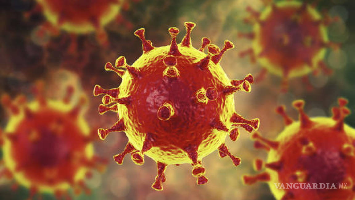 Cambio climático, una de las causas de enfermedades emergentes como el coronavirus Covid-19