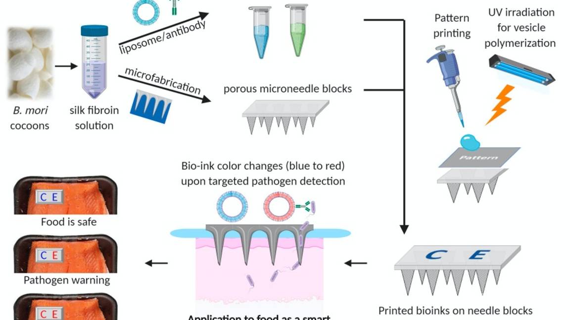 $!Con esta alarma podrás saber si los alimentos están contaminados