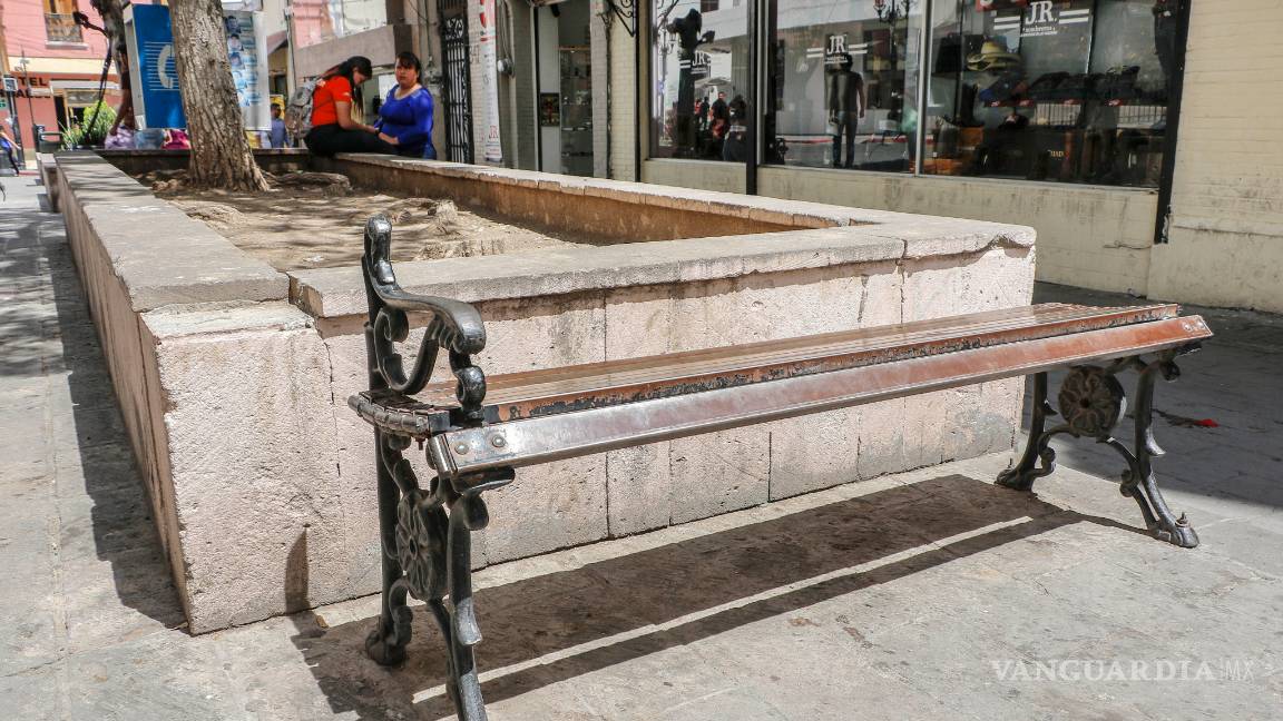 $!Abbott, calle que da pena en el Centro Histórico de Saltillo