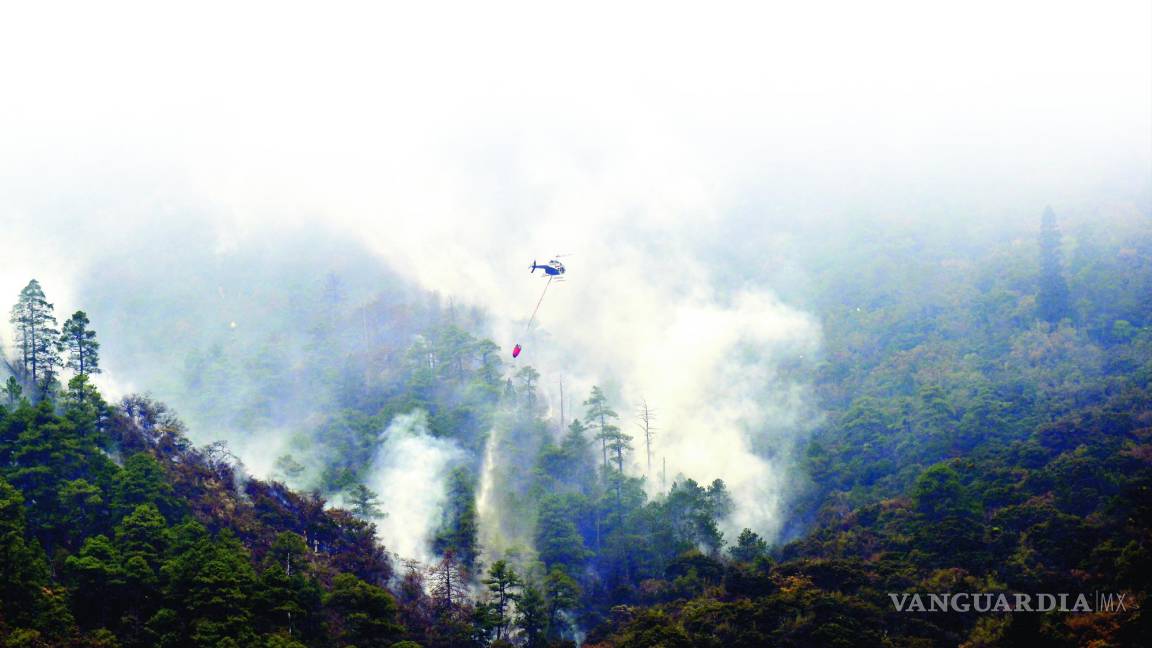 Total impunidad por incendios forestales en el Sureste de Coahuila