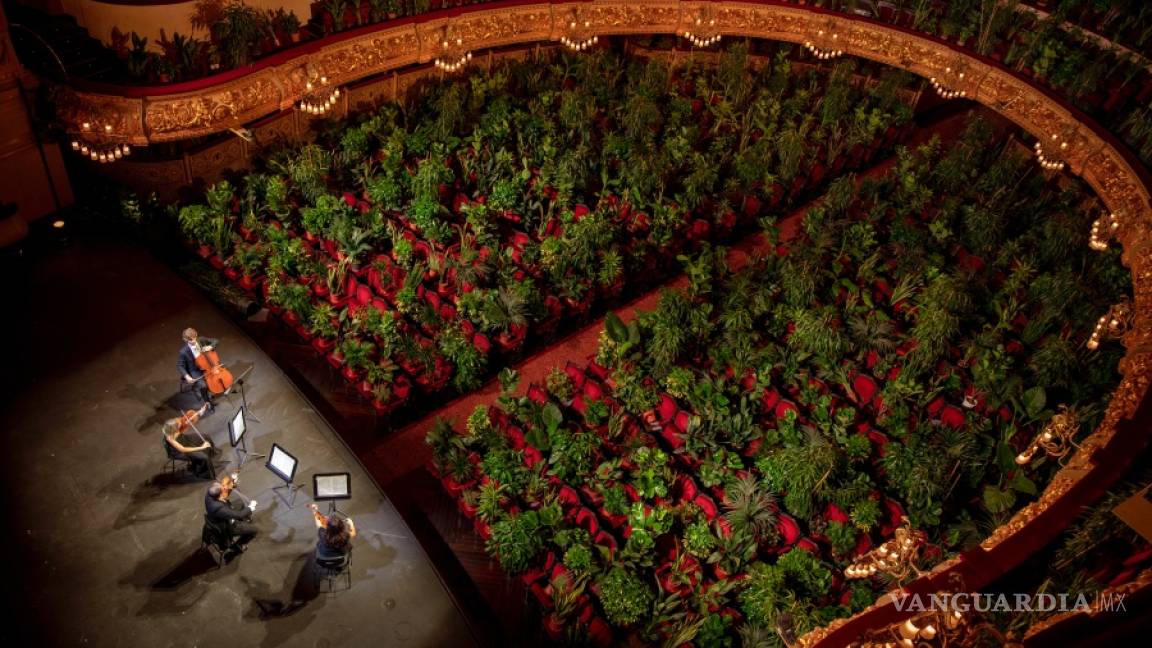 ¡Insólito!, el Gran Teatre del Liceu al no tener público puso plantas en su concierto de reapertura