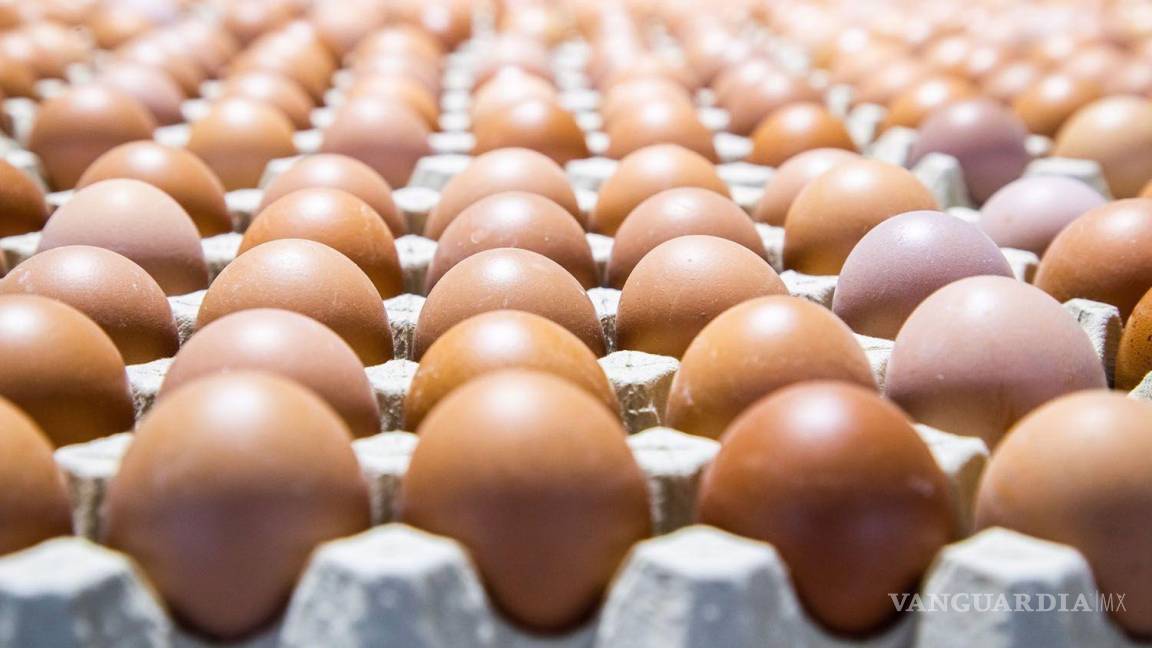 Kilo de huevo ha subido más de 21 pesos en el gobierno de AMLO: monopolio maneja precios a discreción
