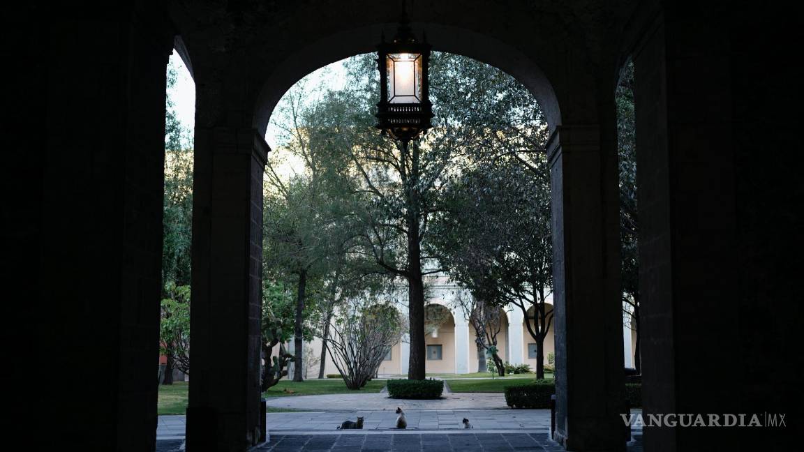 $!Tres gatos descansan en uno de los patios del Palacio Nacional en Ciudad de México.