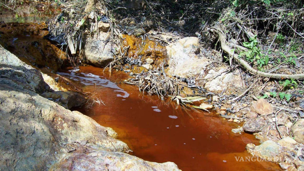 Deberá Secretaría del Medio Ambiente de Coahuila entregar reporte sobre empresas contaminantes