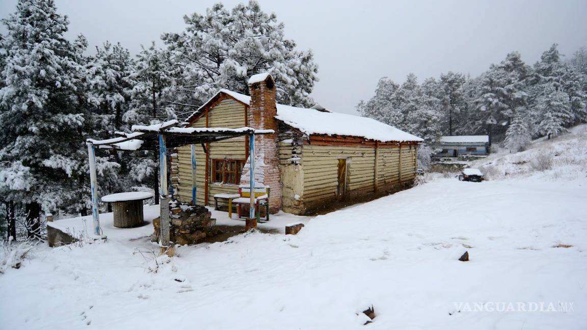 Tomenta invernal de EU no pegará a Coahuila