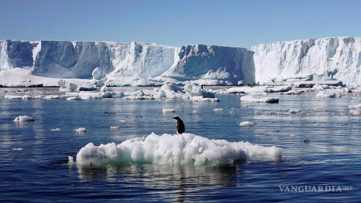 Cambio climático ‘derrite’ al Ártico y al Polo Sur