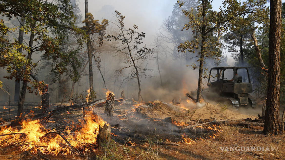 Declaran zona de desastre en Texas por fuerte incendio forestal