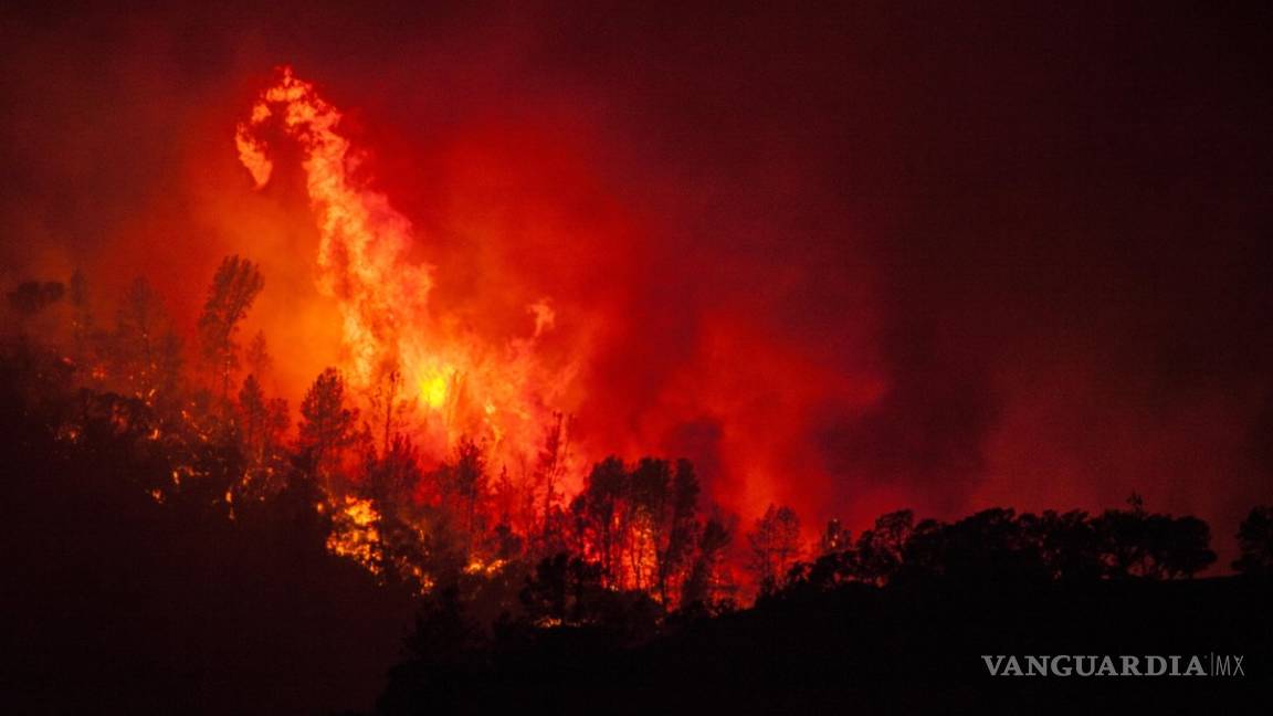 Incendio forestal arrasa 18 mil hectáreas en California