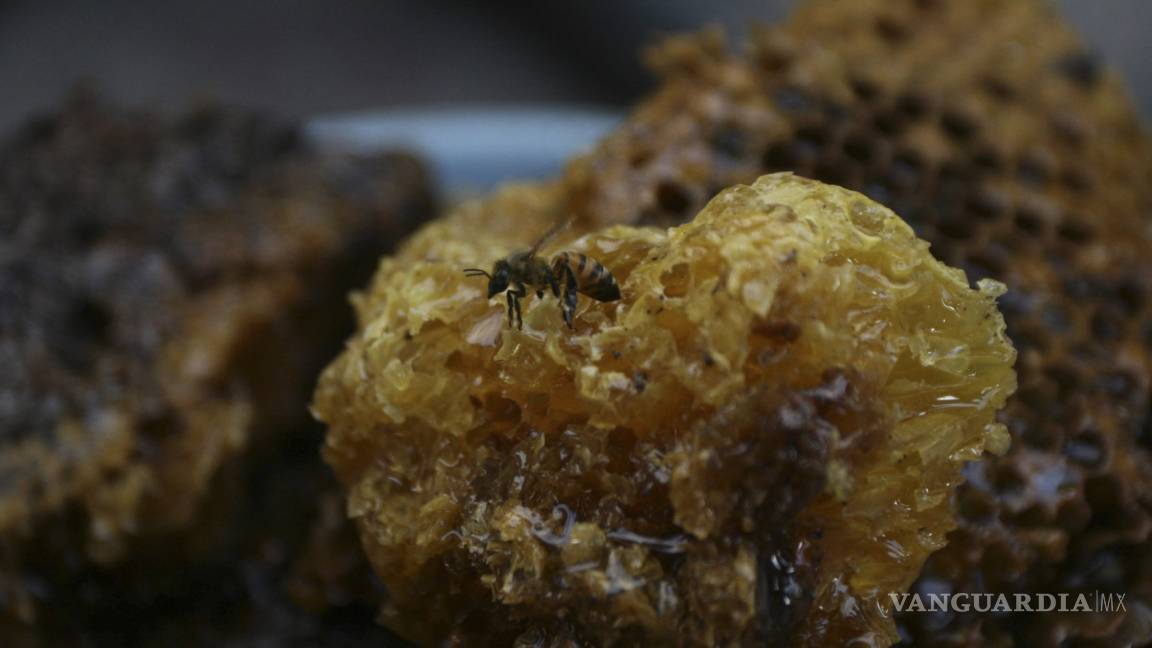 Arizona: Invierno cálido y lluvias causan ataques de abejas