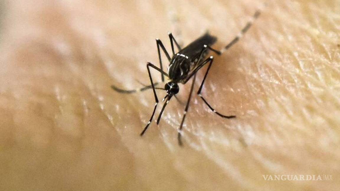 La FDA aprueba la primera vacuna contra chikunguña