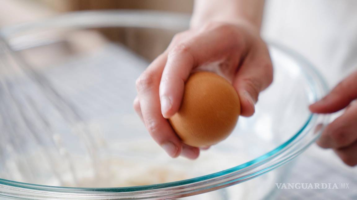 ¿Qué fue antes, el huevo o la gallina? desarrollan en Finlandia clara de huevo sin sin necesidad de aves de corral