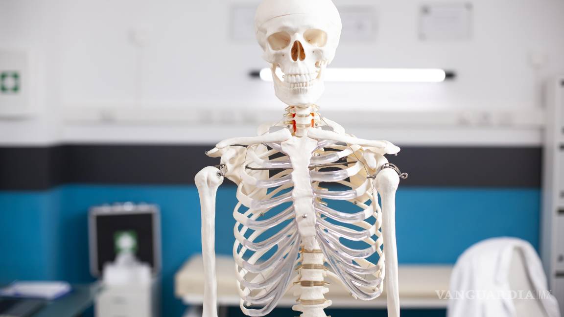 $!Durante años, el calcio ha sido el protagonista indiscutible cuando se habla de salud ósea y prevención de fracturas.