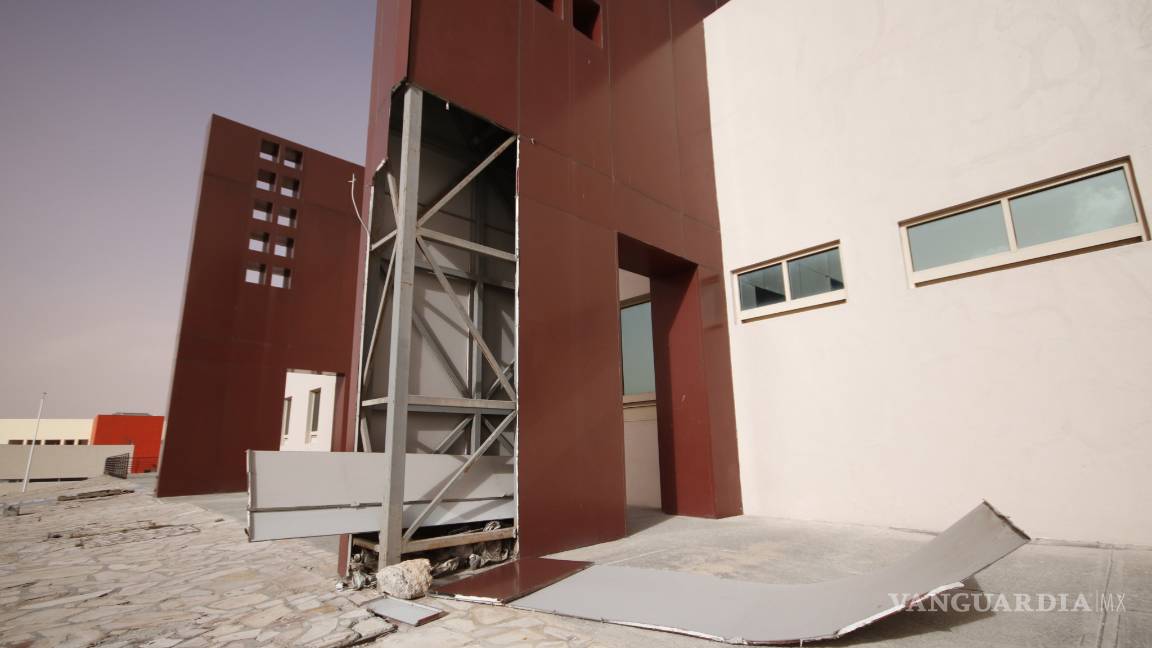 $!Suman 566 árboles derribados en Saltillo por el viento en 2019 y lo que va de 2020