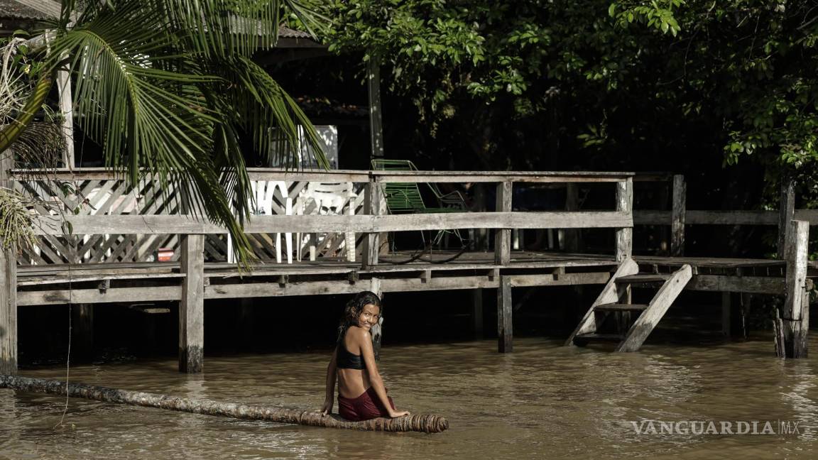 $!Fotografía de la floresta Amazónica en el estado de Pará, norte de Brasil.