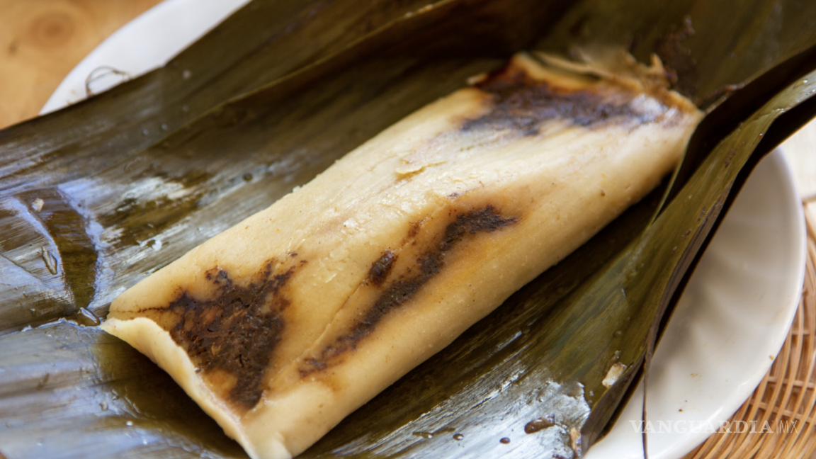 $!¡Descubre las mejores recetas de tamales para sorprender a todos!