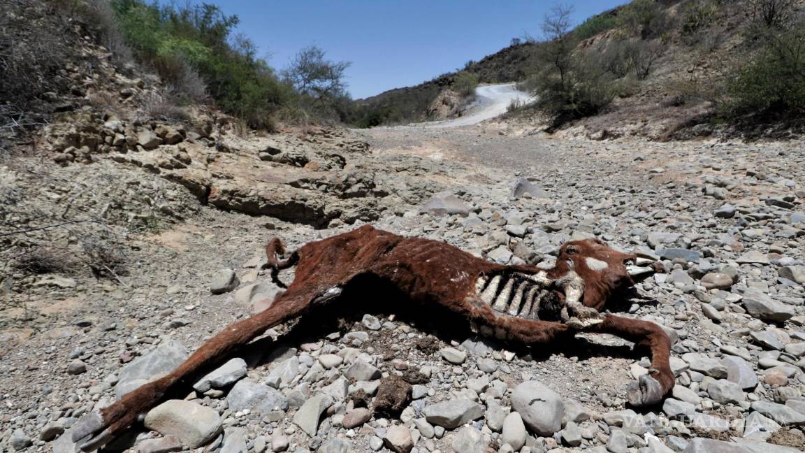 Convoca MARS a ediles para buscar solución a desabasto de agua en Coahuila