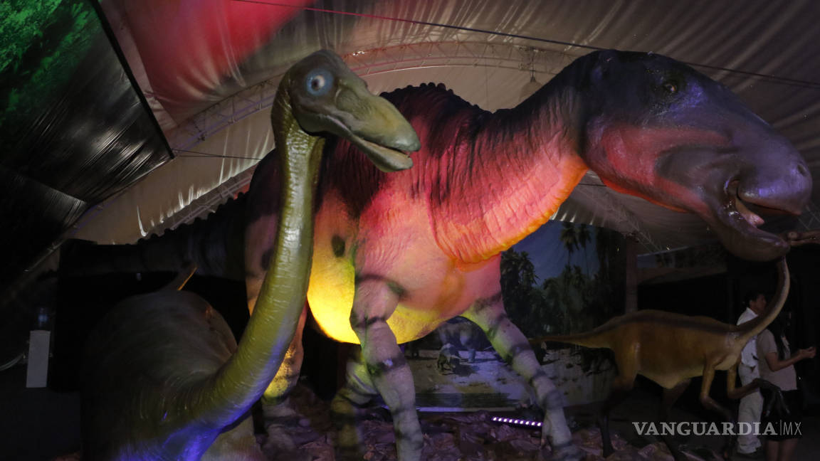Dinosaurios esperan tu visita