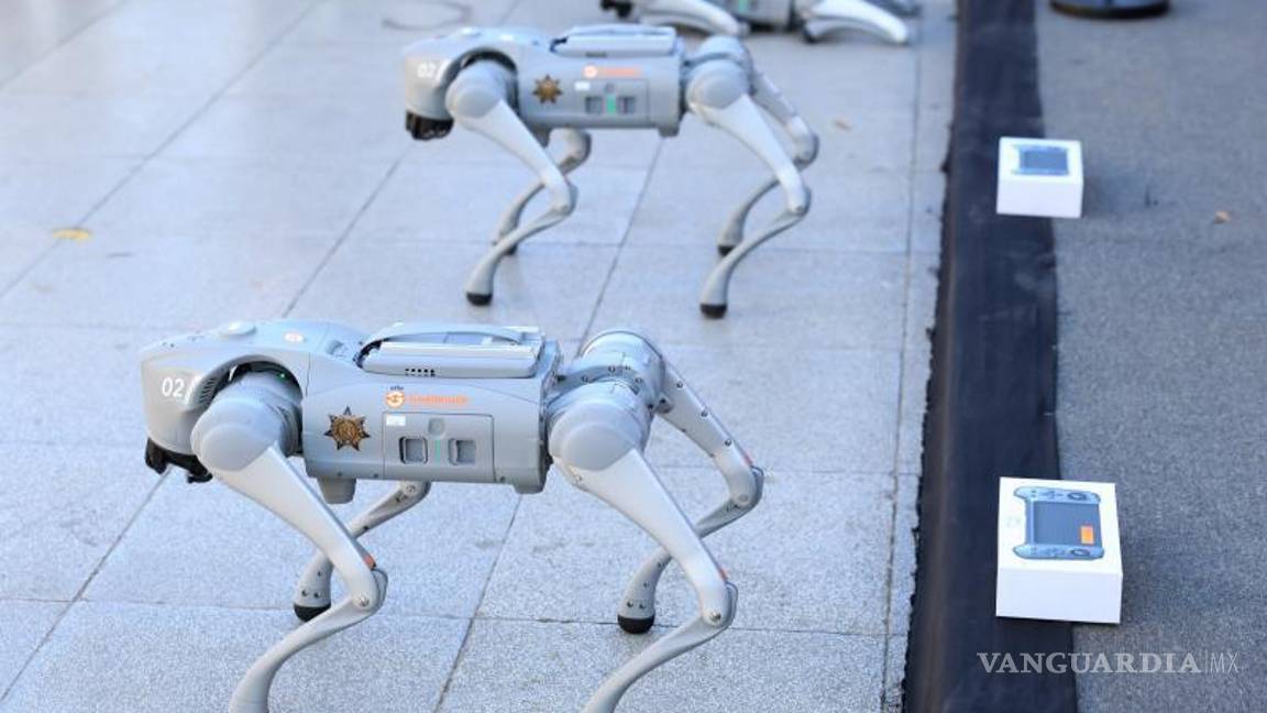 $!NL: De cara al Mundial, Guadalupe incorpora perros robots a sus tareas de seguridad
