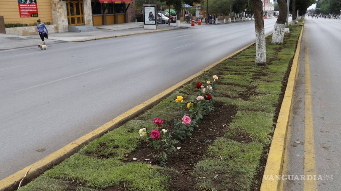Bulevares V. Carranza y Fundadores de Saltillo lideran en accidentes viales