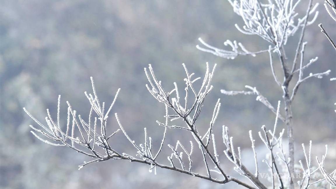 $!La nieve es provocado por las bajas temperaturas, lluvia y humedad, anunciadas al mediodía del lunes.