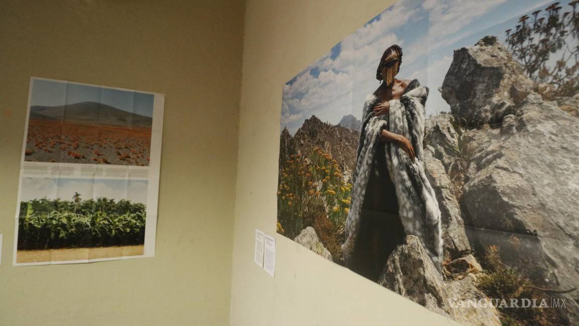 $!Con Photoworks la fotografía contemporánea se comparte en una cajita