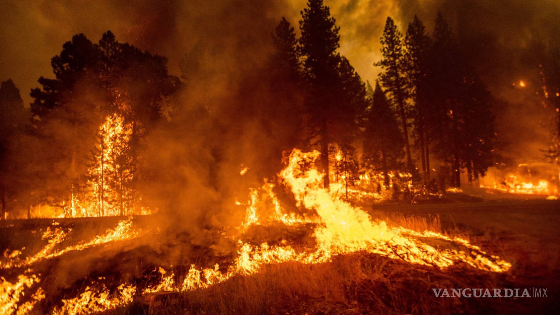 Incendio ‘Dixie’ consume bosques de California, ya es el segundo mayor en su historia