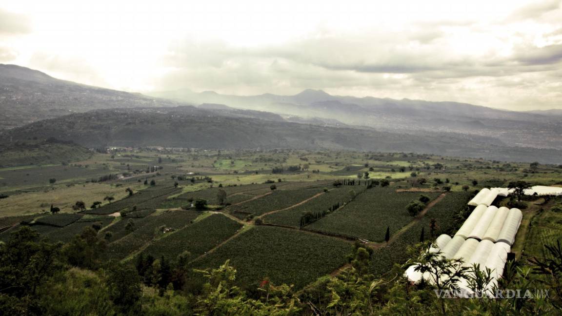 $!Campos de cultivo en Xochimilco, Ciudad de México. Crédito: Gibrán Mena Aguilar