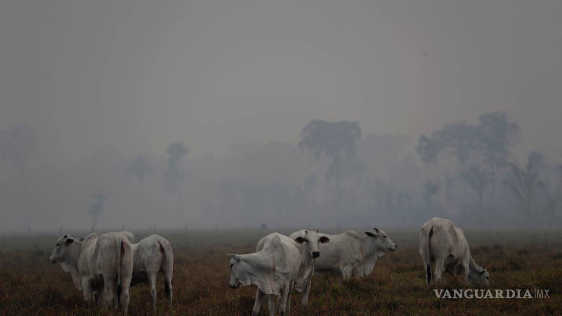 $!Bomberos brasileños combaten el fuego en una Amazonia cubierta de humo