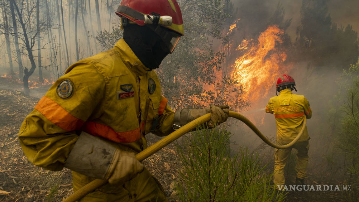 Portugal logra apagar enorme incendio forestal