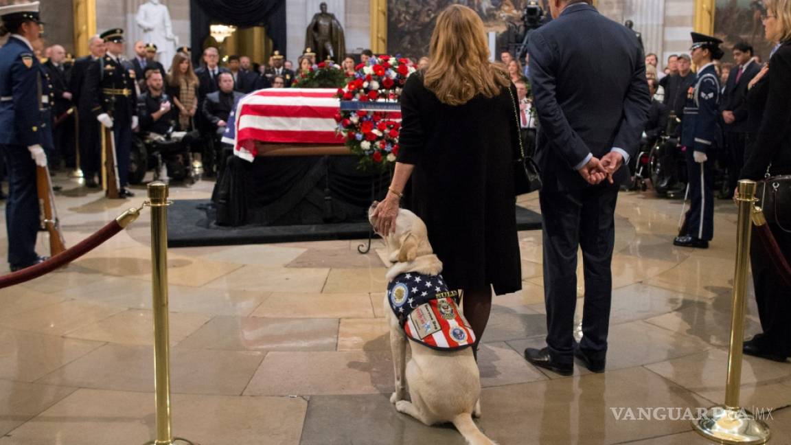 $!Sully, el perro del expresidente George H. W. Bush se despide de su amo (Fotogalería)