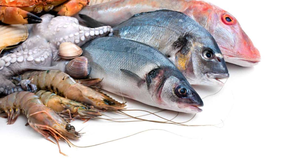 Vanguardia le dice cómo seleccionar el mejor pescado para esta Cuaresma