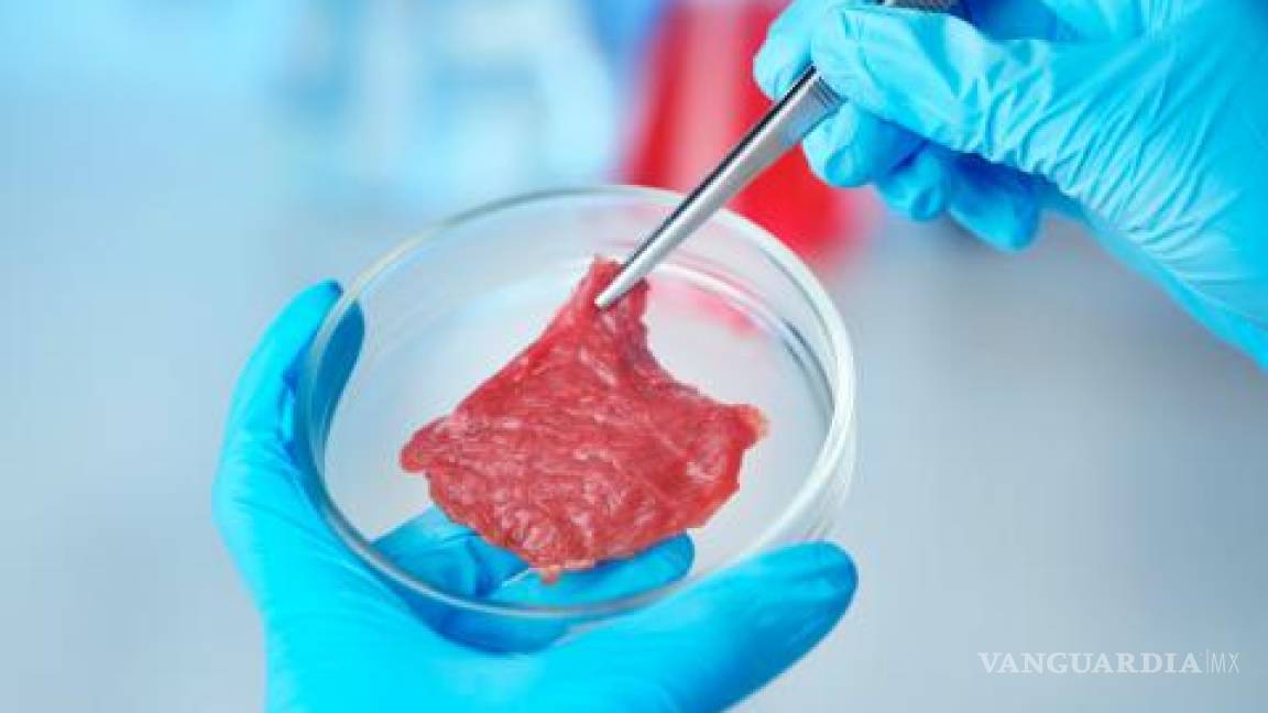 Preparan la venta masiva de carne artificial, para 2021