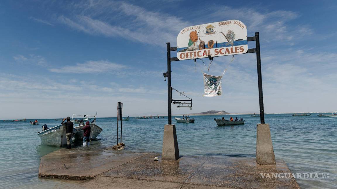 $!Barcos camaroneros después de un día de pesca en el Golfo de California, en Puerto Peñasco, México.