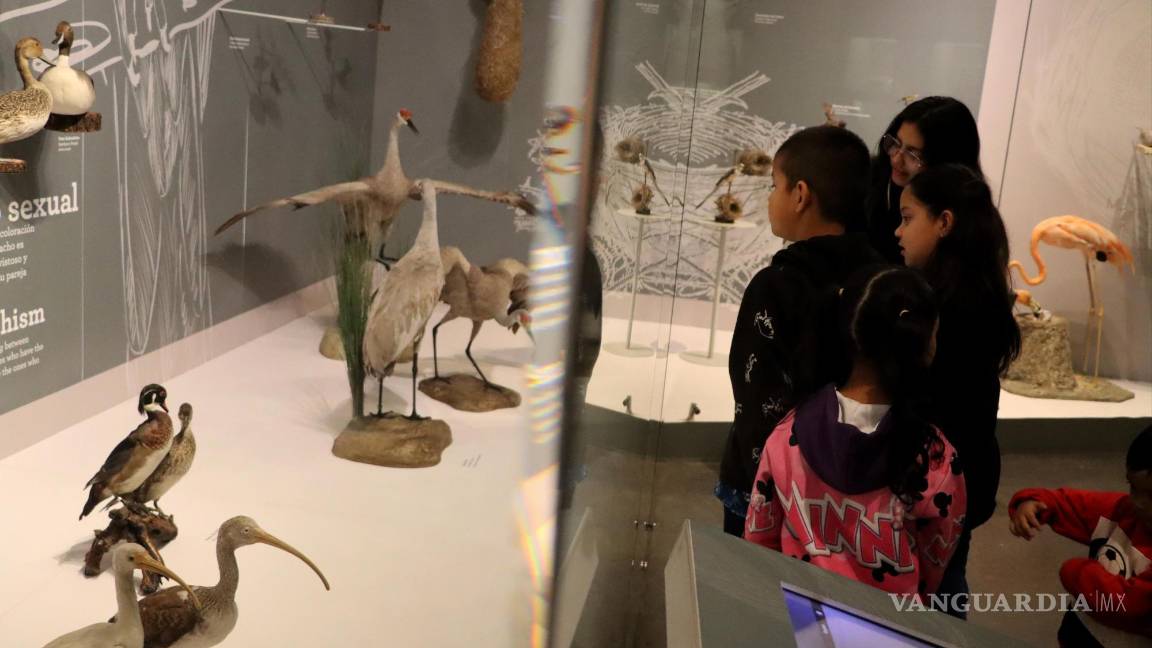 $!Los candidatos son evaluados en: Liderazgo, Investigaciones, Concienciación Pública, Administración y el Premio David N. Pashley a la Trayectoria.