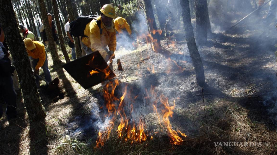 El 99% de incendios en bosques de CDMX son provocados