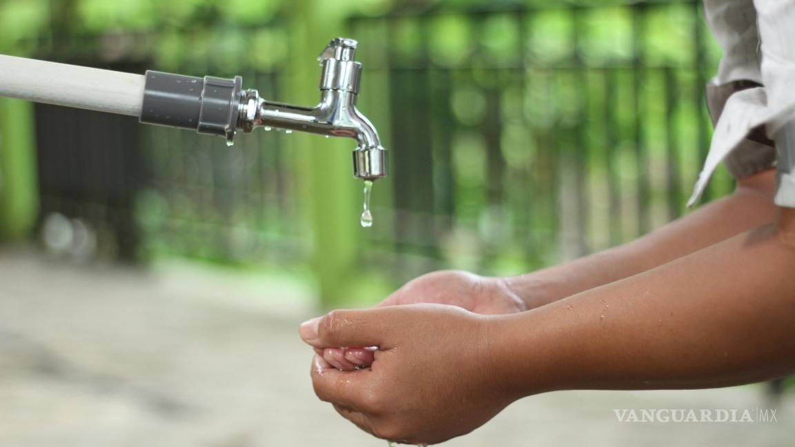 Acciones y consejos para cuidar el agua, según la UNAM