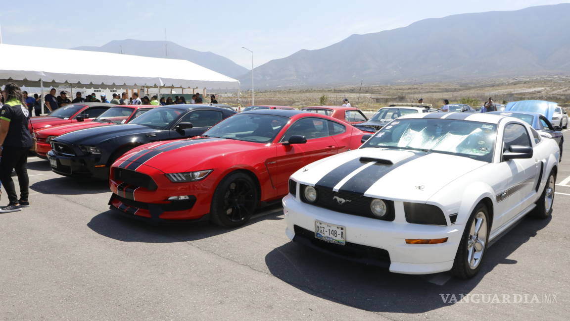 La estampida de Mustangs en Saltillo se dirige a todo galope al Parque Las Maravillas