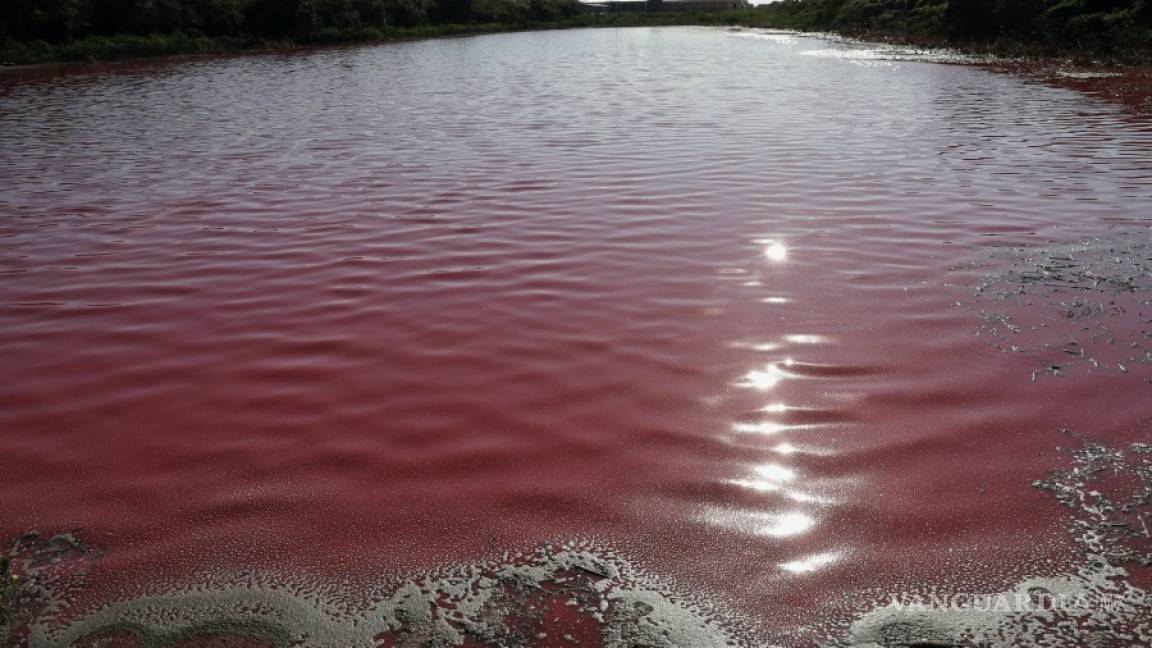 Contaminación pinta de color púrpura a la laguna Cerro en Paraguay