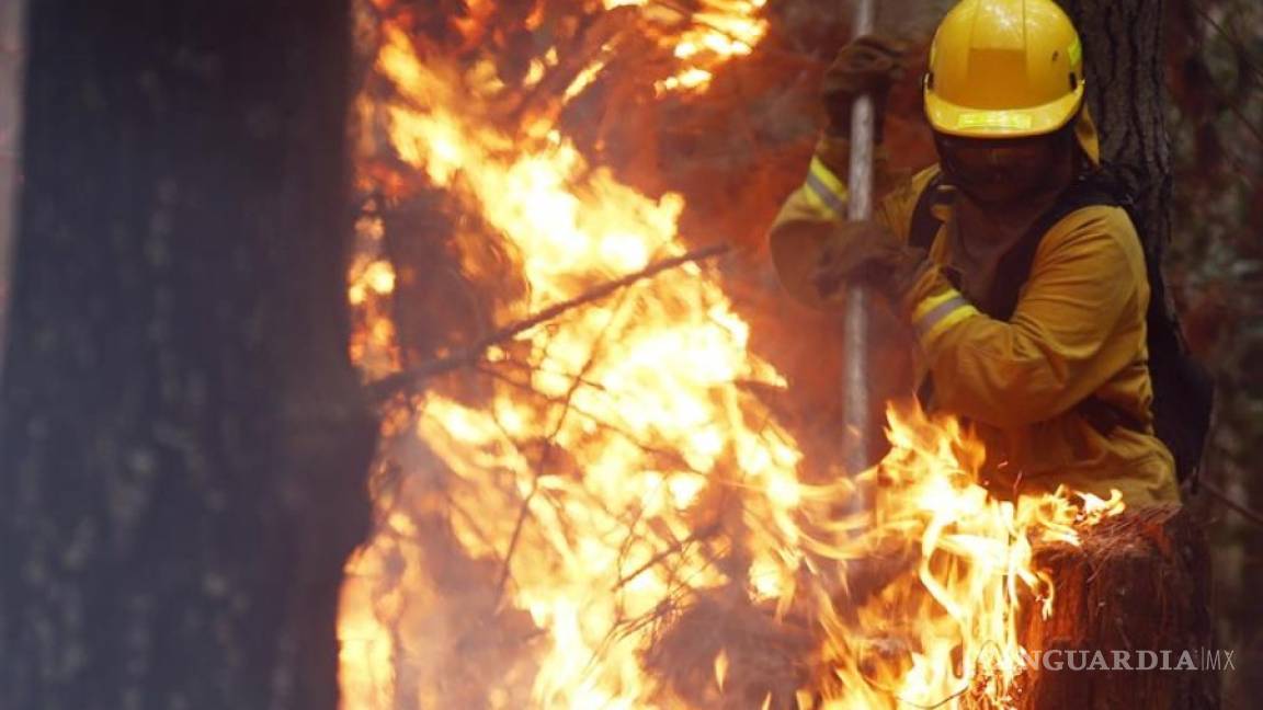 Se eleva a 11 los muertos por los incendios forestales en Chile