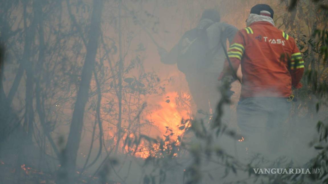 México en llamas: registran 113 incendios forestales activos; han afectado 13 mil 262 hectáreas