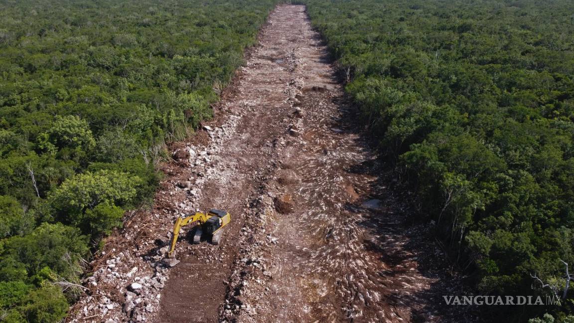 $!Una topadora limpia un área de bosque que será la línea del Tren Maya en Puerto Morelos, estado de Quintana Roo, México.