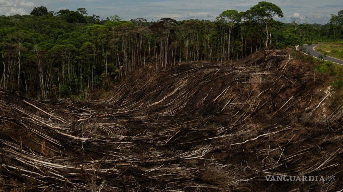 Ecuador trató de frenar la extracción de petróleo y proteger la Amazonía, pero sucedió lo contrario