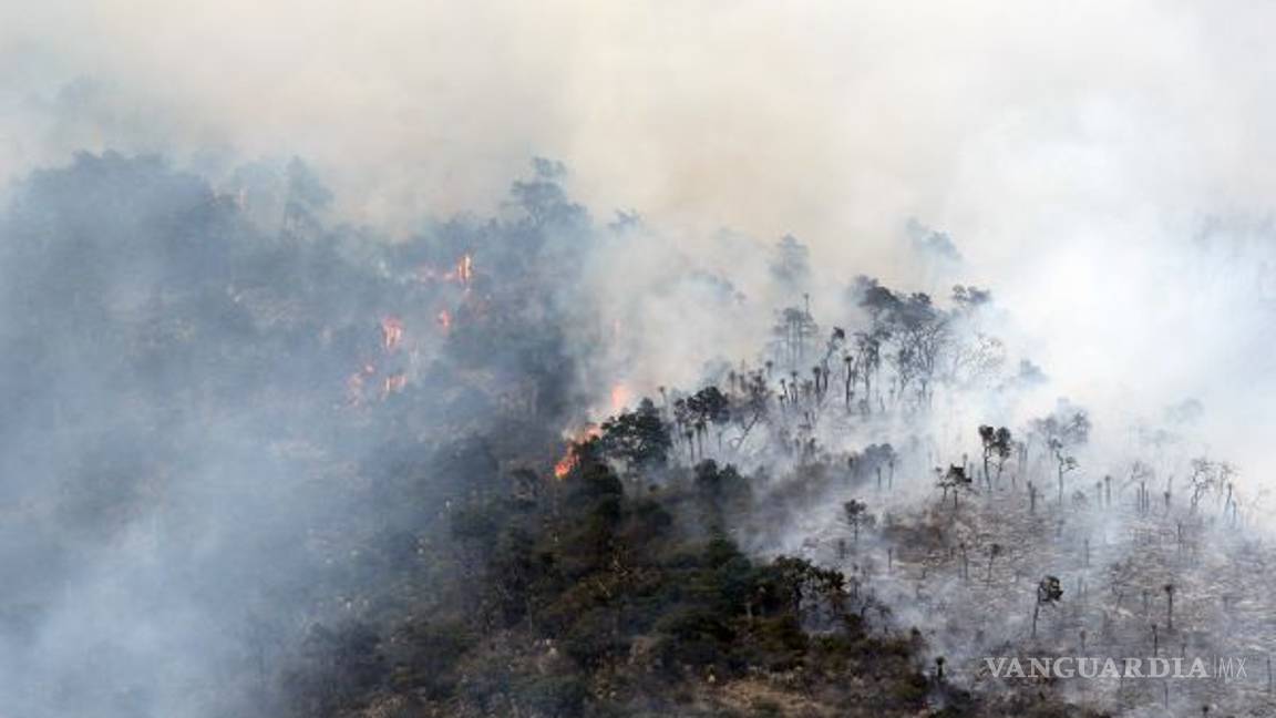 $!Devasta fuego 150 hectáreas de Sierra Zapalinamé en Coahuila; fue provocado: Medio Ambiente