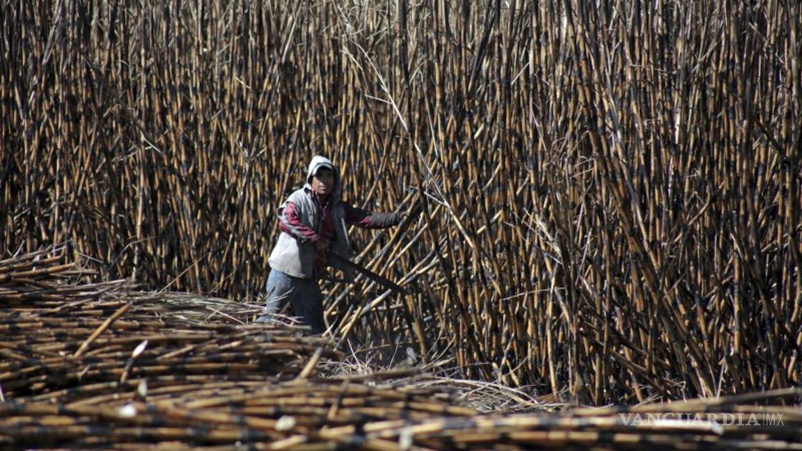 $!Tu jugo del día: Con sabor al viejo PRI, así es el 'nuevo' triunfo de 'Alito'